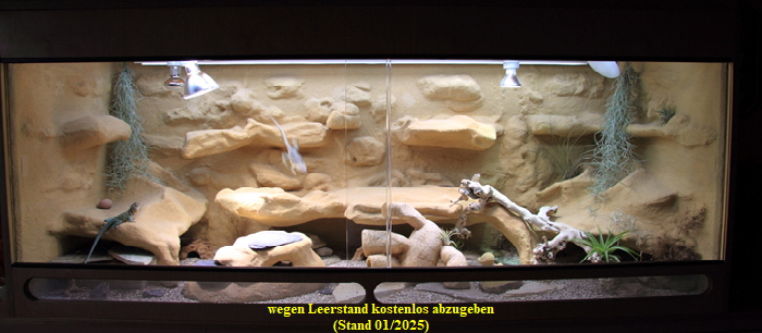 1. Terrarium - wegen Leerstand kostenlos abzugeben